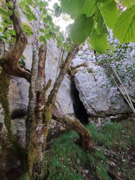 Pasques - grotte blanche - entrée cavité photo 1, Aurélien Bloch.jpg
Fichier manquant